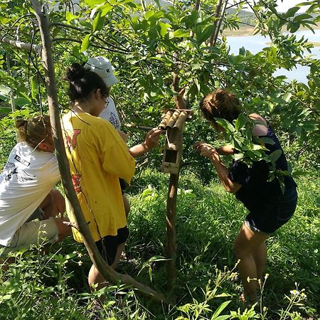 Lavievulinh Ecolodge Vũ Linh المظهر الخارجي الصورة